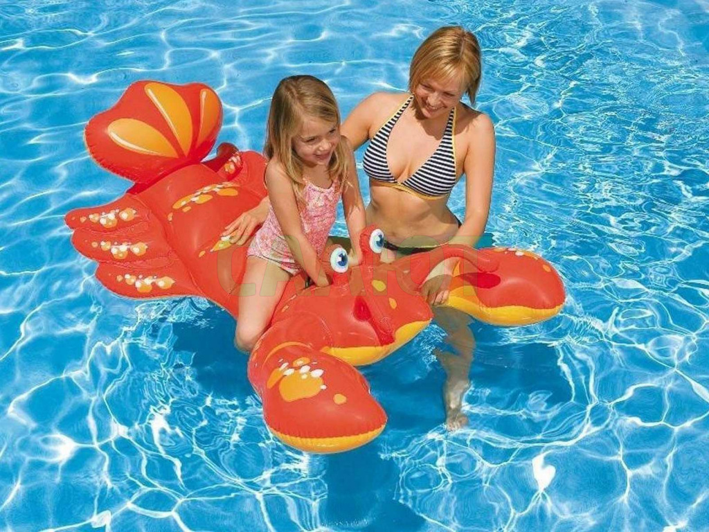 57528 Лобстер