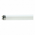 815764 Лампа люминесцентная Philips TL-D G13 18W/33-640