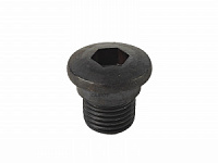 Болт заднего переключателя скор. М10