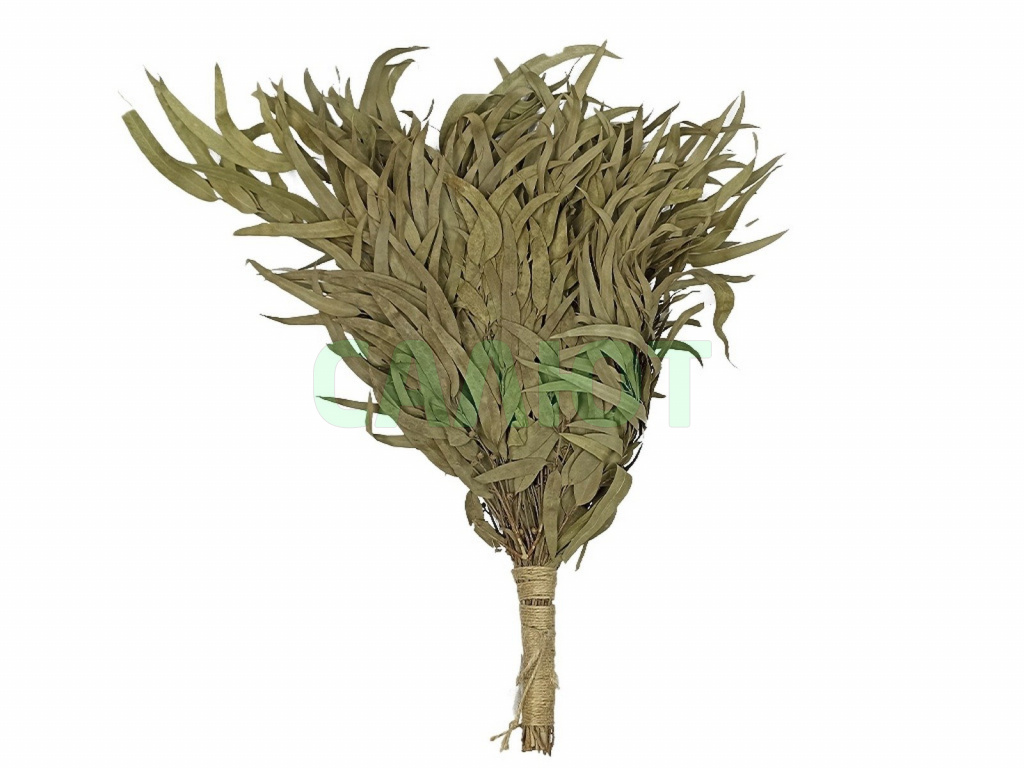 Веник эвкалиптовый без упаковки